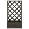 Garden Trellis Planter Gray 19.7"x9.8"x35.4" Solid Firwood