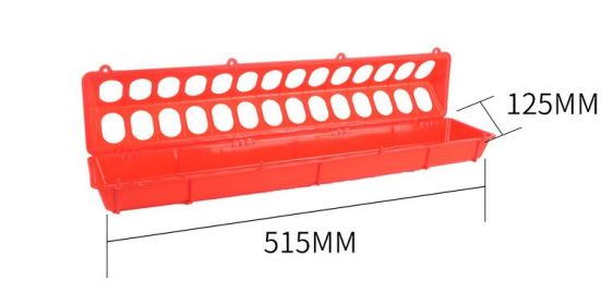 The Bird Feeds The Water Bottle To The Pigeon With A Waterer, Pigeon Trough Screw Mouth (Option: D)