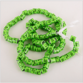 pigeon anklet (Color: Green)