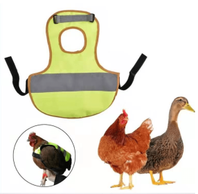 Chicken reflective vest (Color: Green)